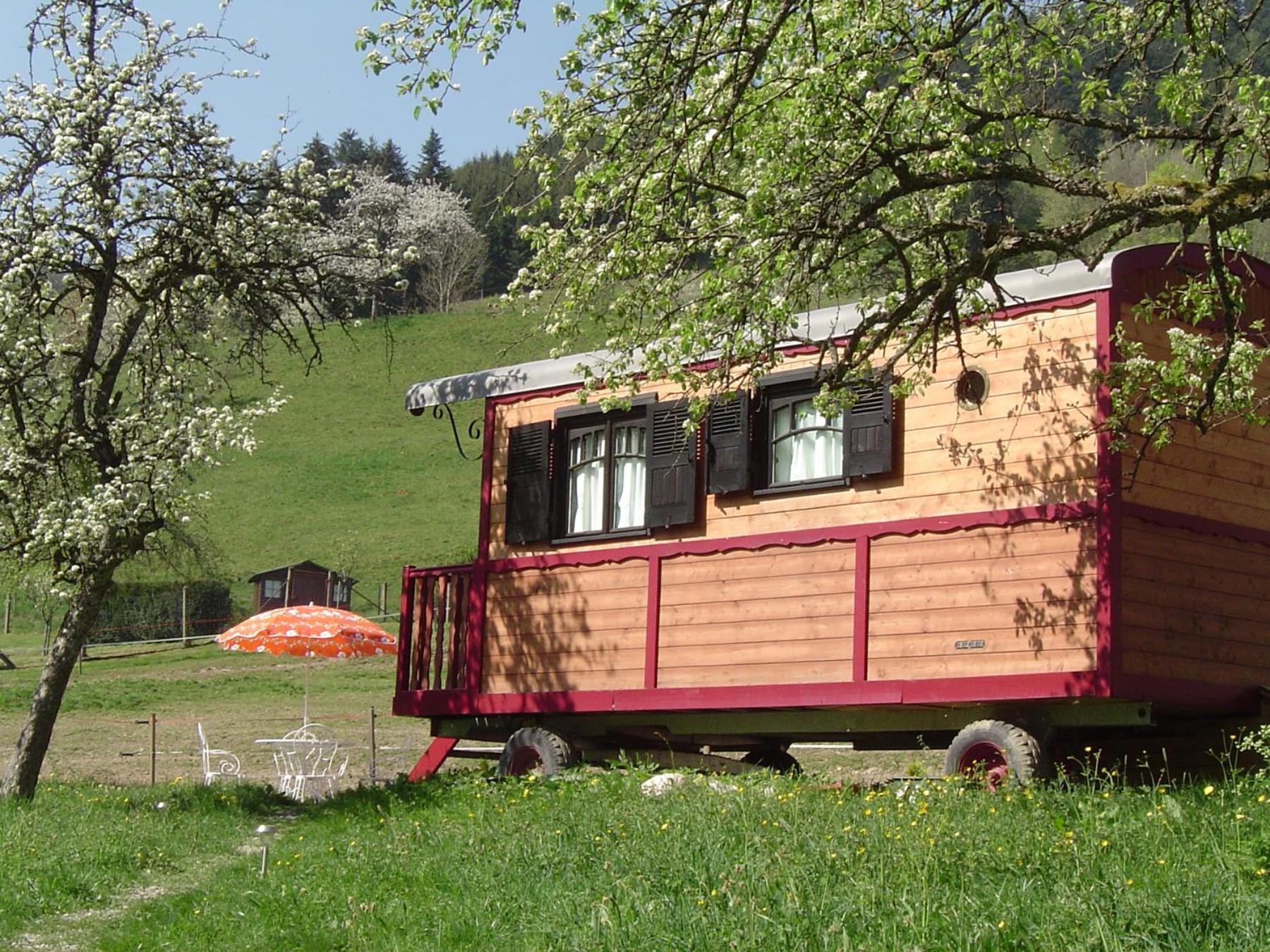 Villa Le Repaire De Mitzerle à Mitzach Extérieur photo